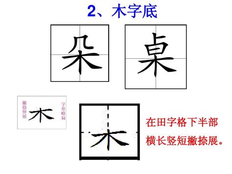 8劃的字屬木|木字旁8画的字